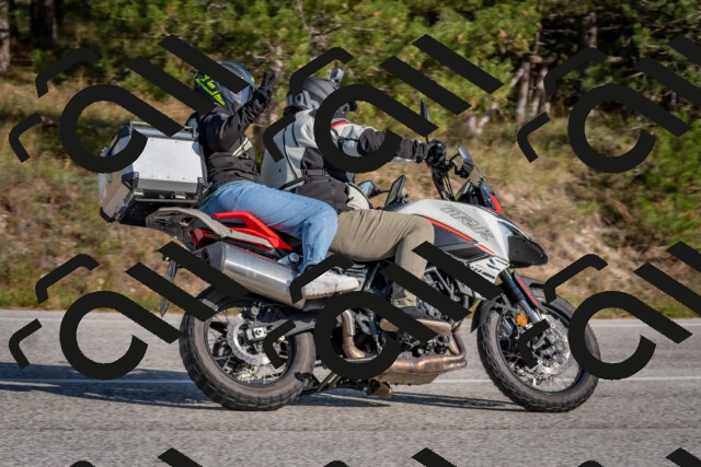 202510191452-DSC_8147_c4_