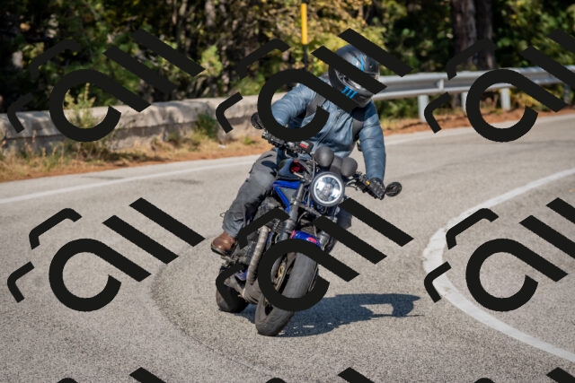 202510191452-DSC_8148_c4_