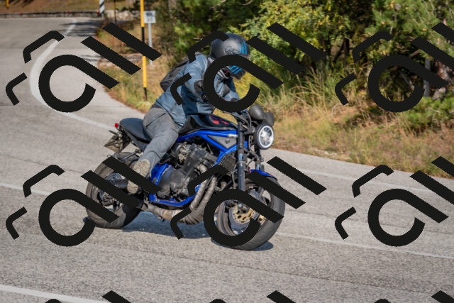 202510191452-DSC_8149_c4_