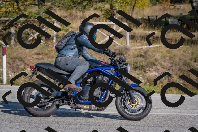 202510191452-DSC_8150_c4_