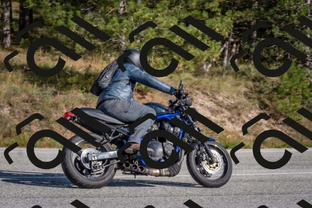 202510191452-DSC_8151_c4_