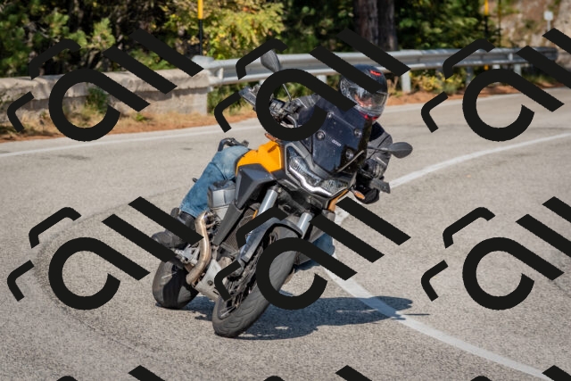 202510191452-DSC_8152_c4_