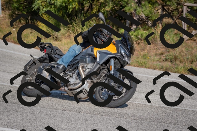 202510191452-DSC_8153_c4_