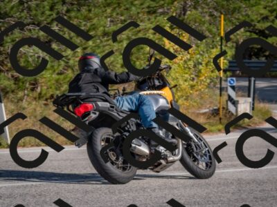 202510191452-DSC_8155_c4_