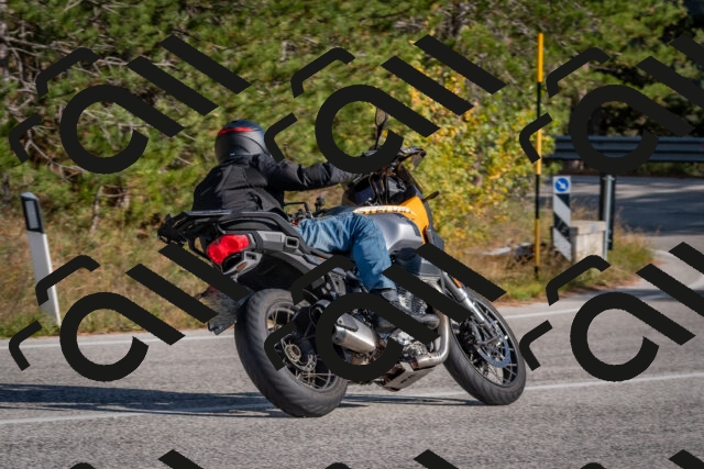 202510191452-DSC_8155_c4_