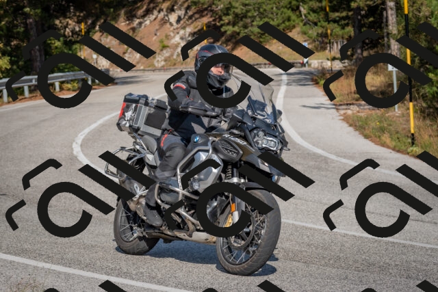 202510191453-DSC_8158_c4_