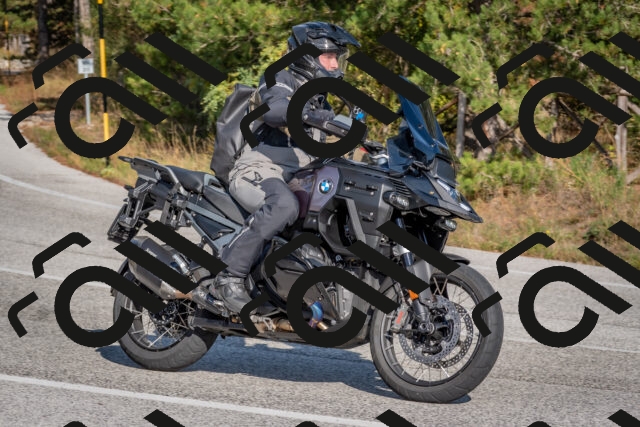 202510191453-DSC_8161_c4_