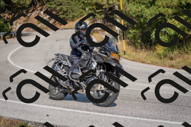 202510191453-DSC_8162_c4_