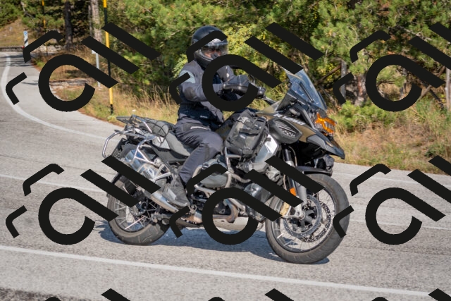 202510191453-DSC_8163_c4_