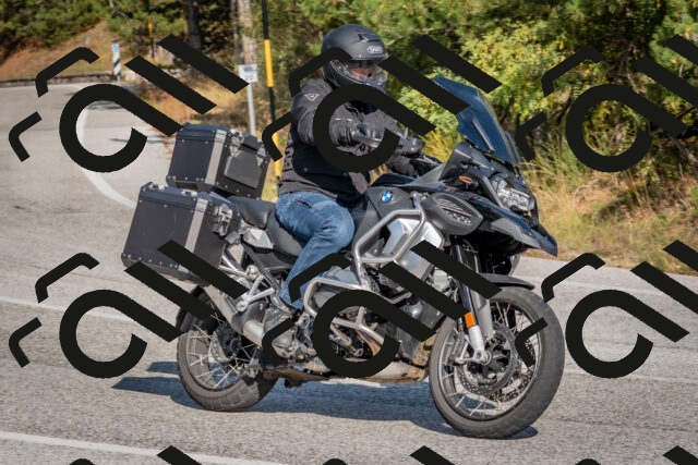 202510191453-DSC_8164_c4_