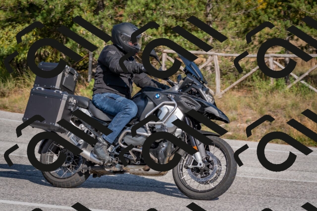 202510191453-DSC_8165_c4_