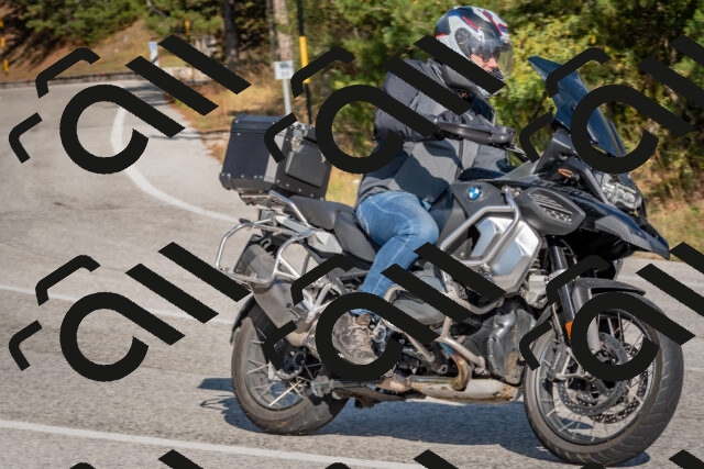 202510191454-DSC_8166_c4_