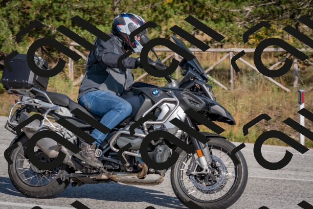 202510191454-DSC_8167_c4_