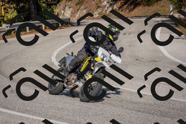 202510191455-DSC_8169_c4_