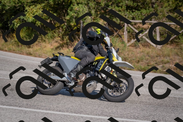 202510191455-DSC_8170_c4_