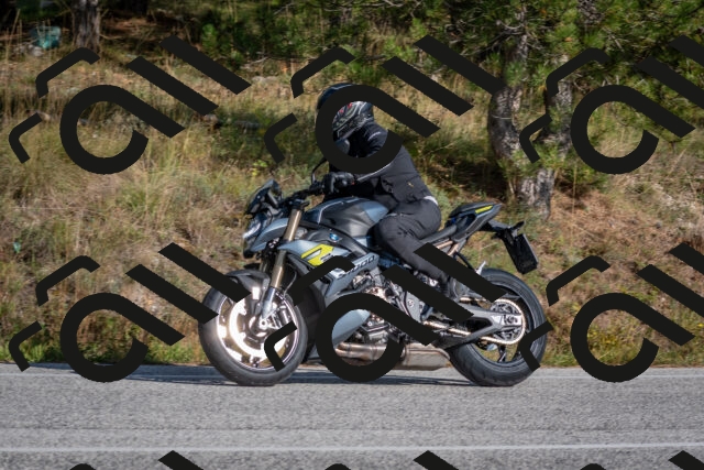 202510191456-DSC_8173_c4_