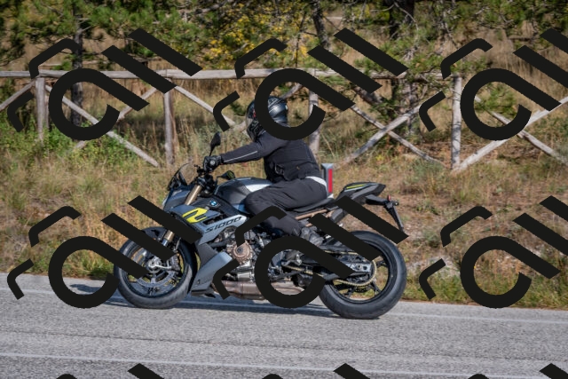 202510191456-DSC_8174_c4_