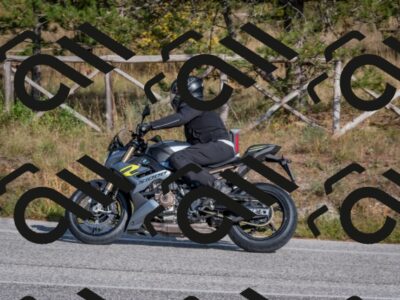 202510191456-DSC_8174_c4_