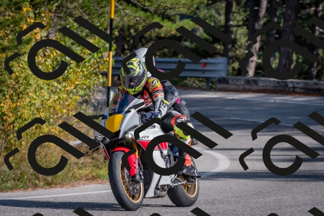 202510191457-DSC_8175_c4_