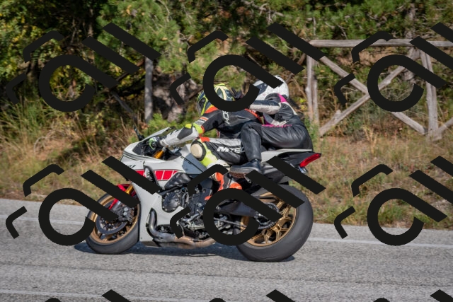 202510191457-DSC_8179_c4_