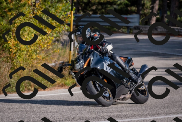 202510191457-DSC_8180_c4_