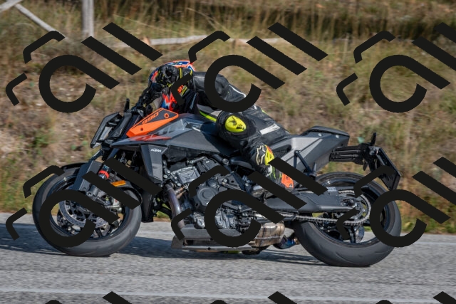 202510191501-DSC_8191_c4_