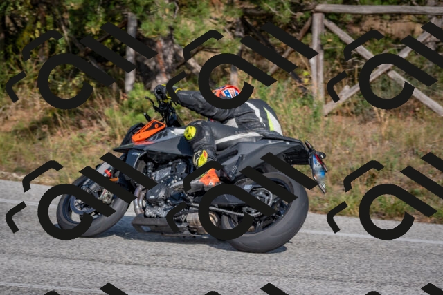 202510191501-DSC_8192_c4_