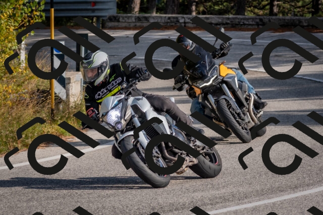 202510191503-DSC_8194_c4_