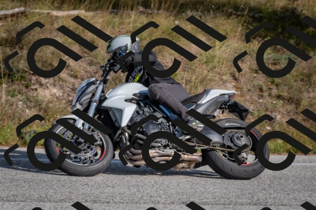 202510191503-DSC_8196_c4_