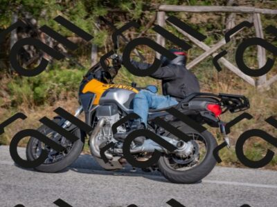 202510191503-DSC_8199_c4_