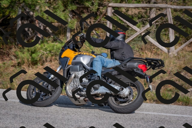 202510191503-DSC_8199_c4_