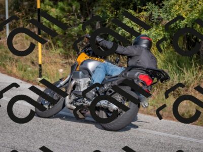 202510191503-DSC_8200_c4_