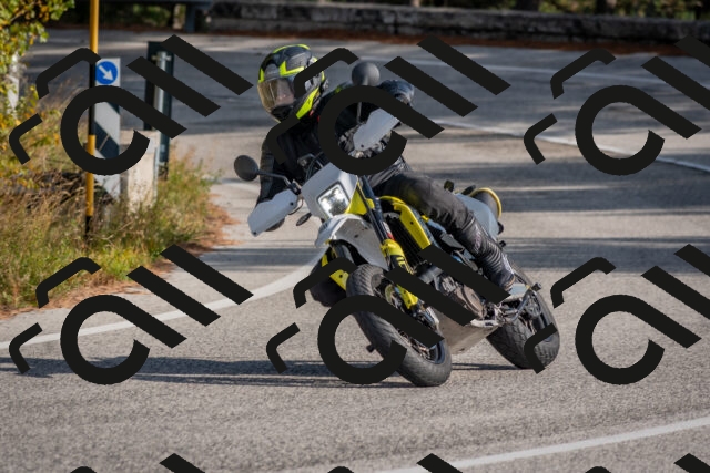 202510191504-DSC_8201_c4_