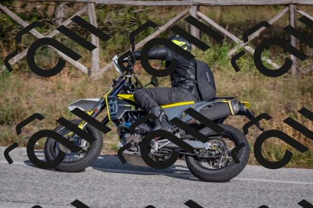 202510191504-DSC_8203_c4_