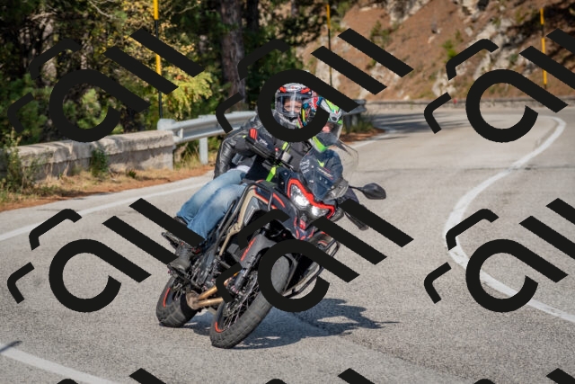 202510191504-DSC_8204_c4_