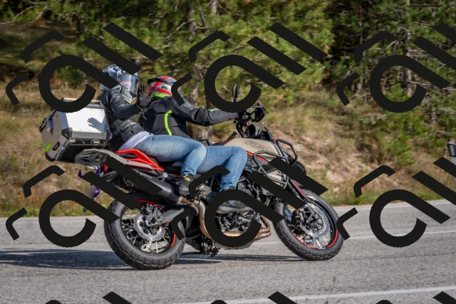 202510191504-DSC_8206_c4_