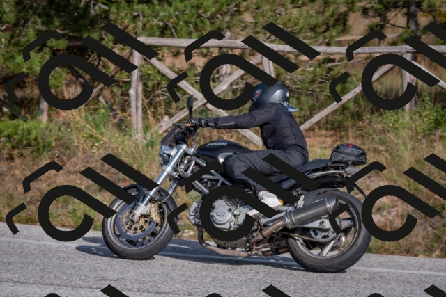 202510191505-DSC_8209_c4_