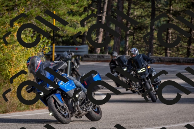 202510191505-DSC_8211_c4_