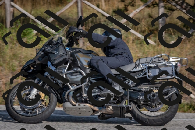 202510191505-DSC_8218_c4_