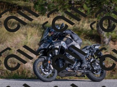 202510191505-DSC_8221_c4_