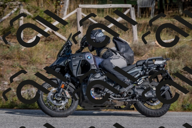 202510191505-DSC_8222_c4_