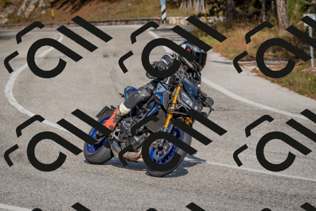 202510191507-DSC_8226_c4_