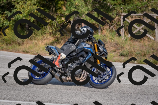 202510191507-DSC_8227_c4_