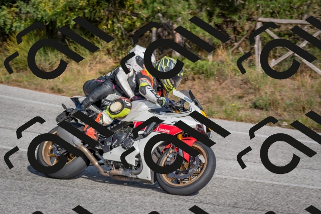 202510191510-DSC_8234_c4_