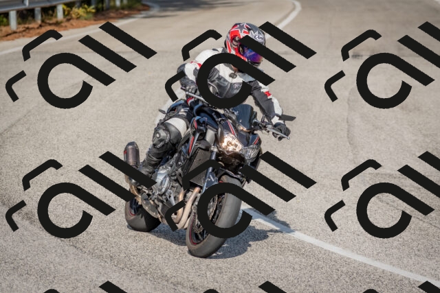 202510191511-DSC_8237_c4_