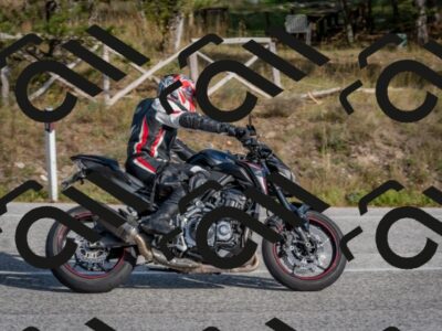 202510191511-DSC_8239_c4_