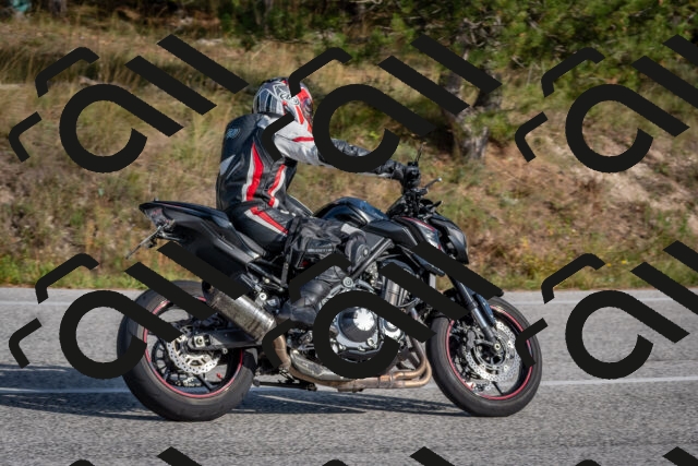 202510191511-DSC_8240_c4_