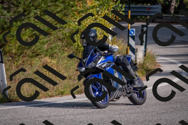 202510191511-DSC_8241_c4_