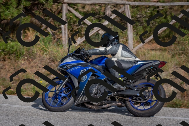 202510191511-DSC_8243_c4_