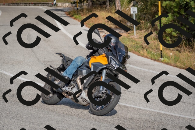 202510191512-DSC_8245_c4_